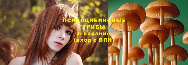 прущая мука Алексин